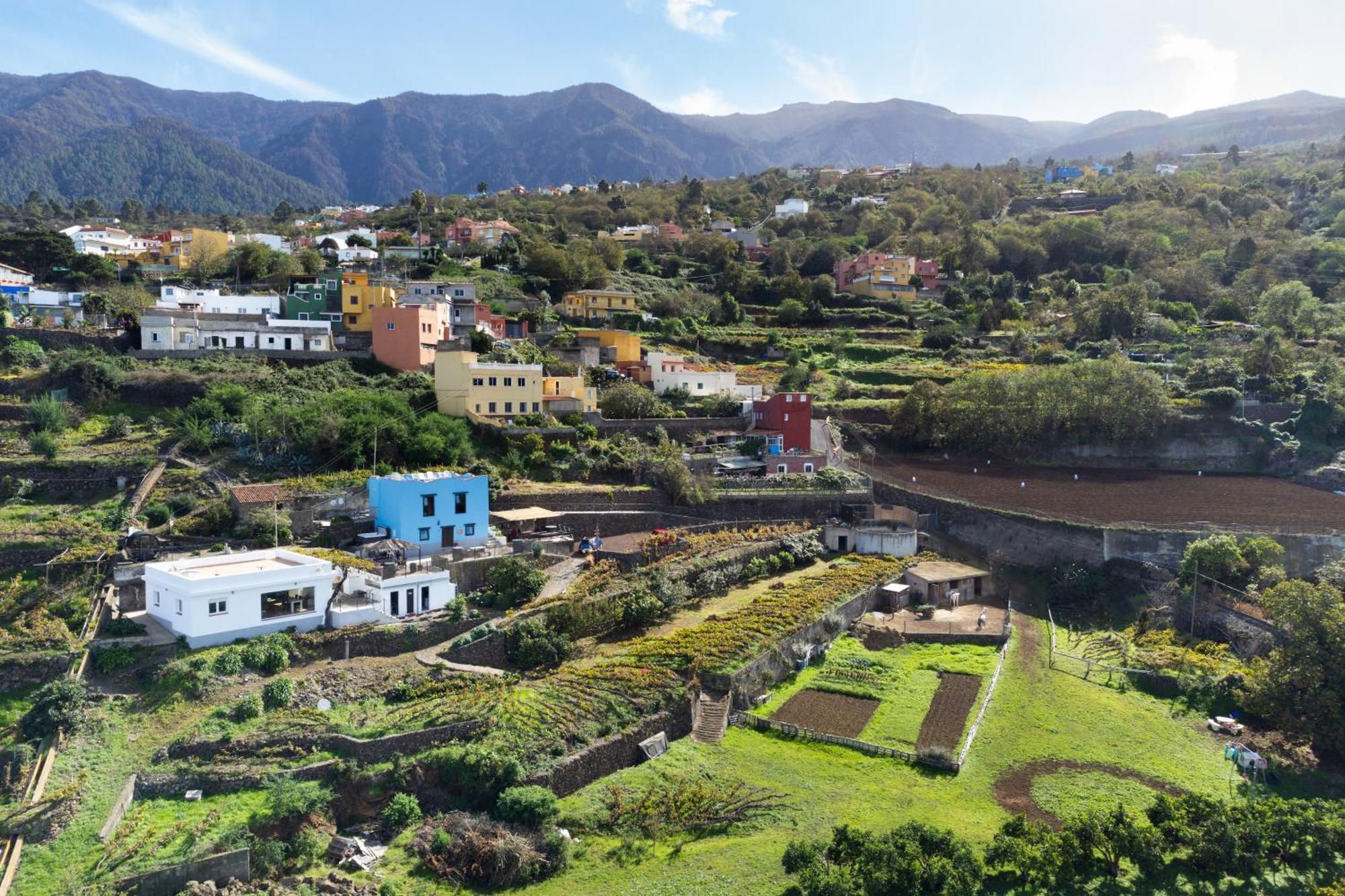 לה אורוטבה Ek Teide Finca El Milagro מראה חיצוני תמונה